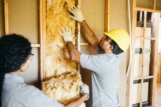 Best Attic Insulation Installation  in Newhall, IA